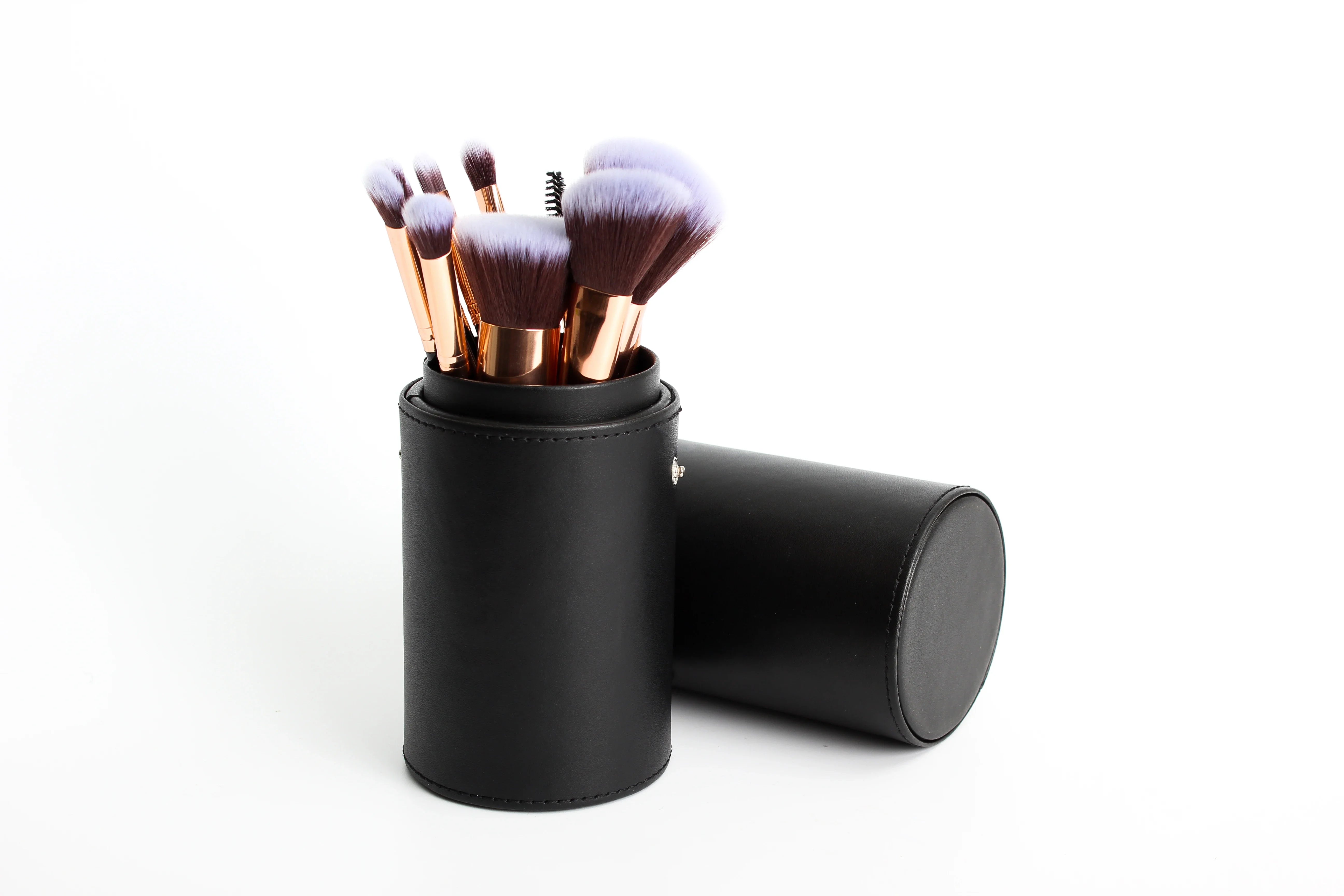 Travel Makeup Brush Set - 12 Pieces with Sponge