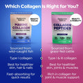 Bovine Collagen Powder - 95% Protein, 400g Unflavoured Benjamin Button Benjamin Button