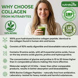 Collagen Powder 315g, Grass Fed Hydrolysed Bovine Collagen Peptides, 19 Amino Acids, Made in UK