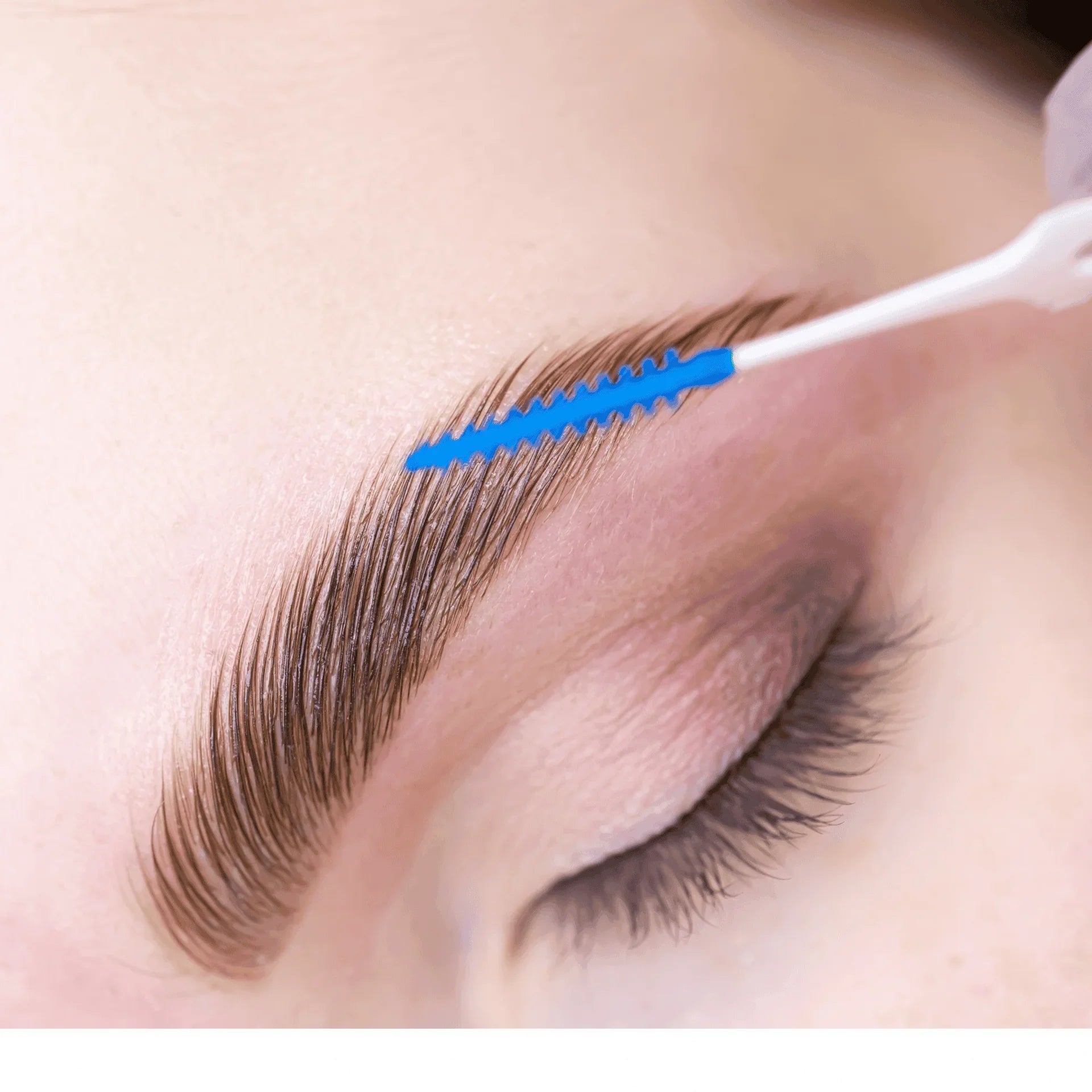 Brow lamination, waxing and tinting beginner course bundle with kit