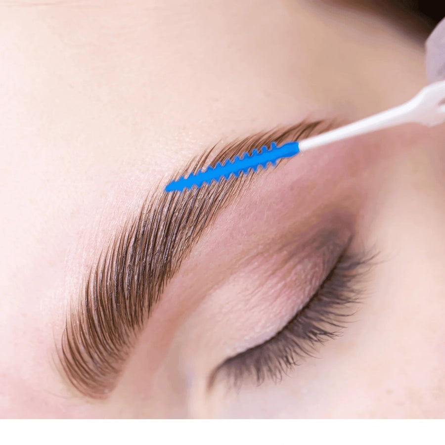 Brow lamination, waxing and tinting beginner course bundle with kit