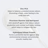 Conditioner for Oily Scalp & Roots