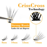 Kimcci Individual Cluster False Eyelashes – C/D Curl, 6–15mm