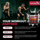 Flavoured Creatine Monohydrate Powder 300g (75 Servings) | Micronised Creatine Powder | Supplement for Women & Men | Vegan Certified