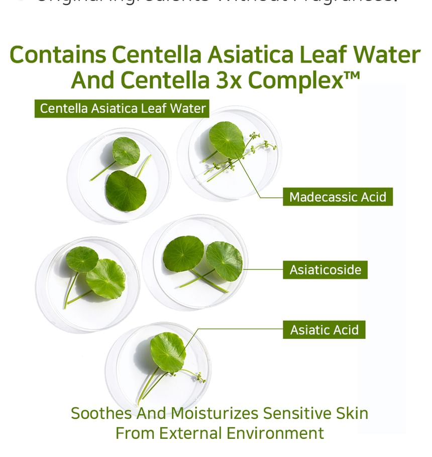 Glycolipids Peptide Ampoule Serum