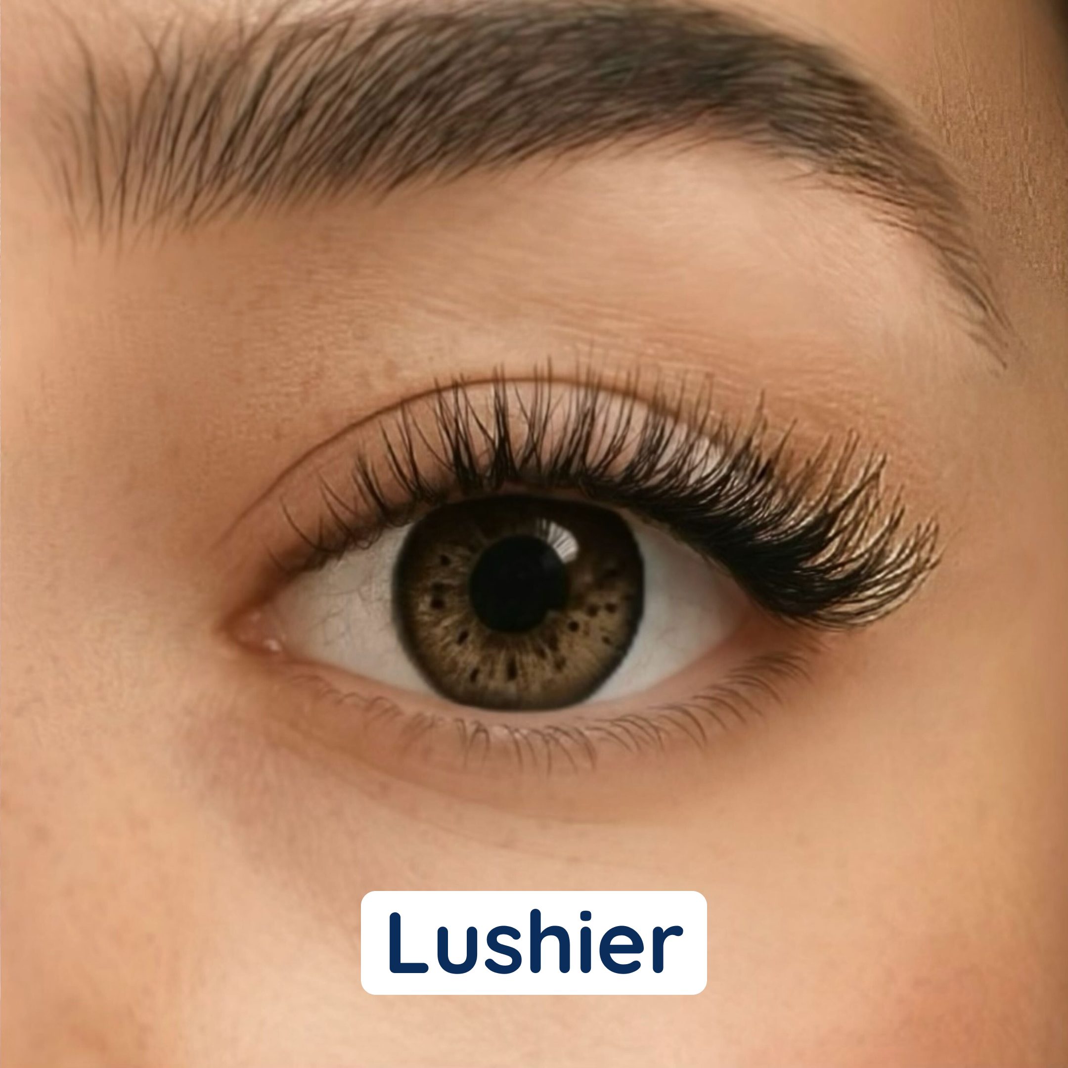 i:licious Lashes - No-Glue False Eyelashes