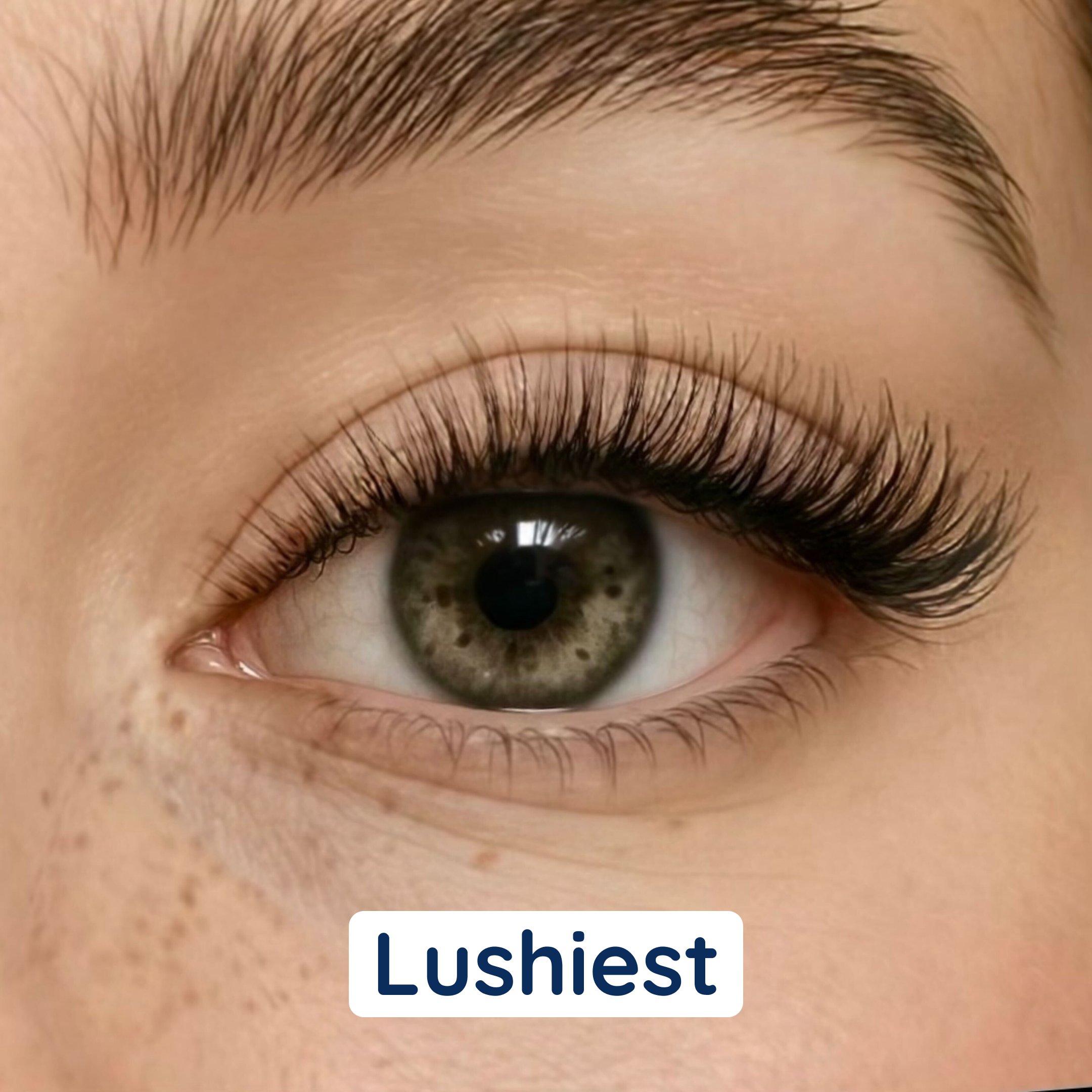 i:licious Lashes - No-Glue False Eyelashes