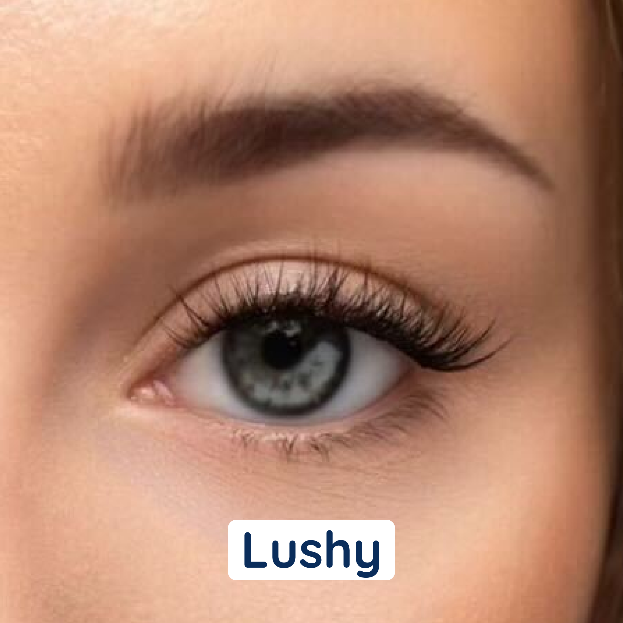 i:licious Lashes - No-Glue False Eyelashes