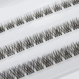 Lash FX Press & Go Milan lash style