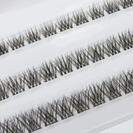 Lash FX Press & Go Milan lash style