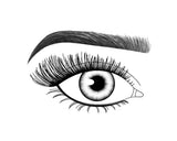 Lash FX Press & Go Milan lashes applied