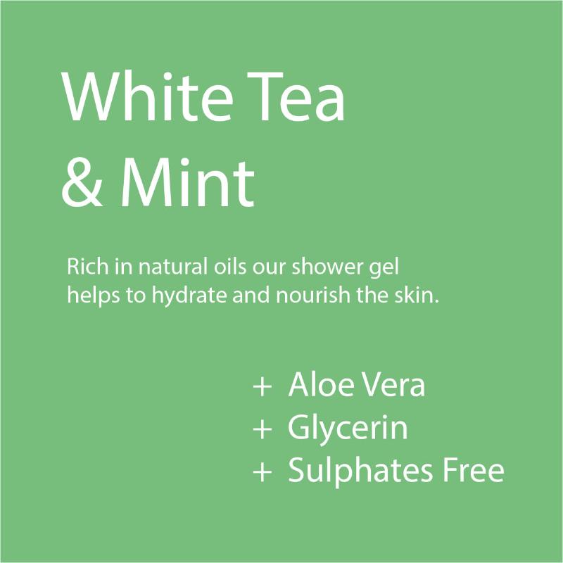 Baldape Body Wash – White Tea & Mint
