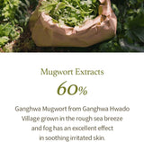 I'm From Mugwort Gel Cleanser 150ml