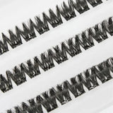 Lash FX Press & Go Palma lash style