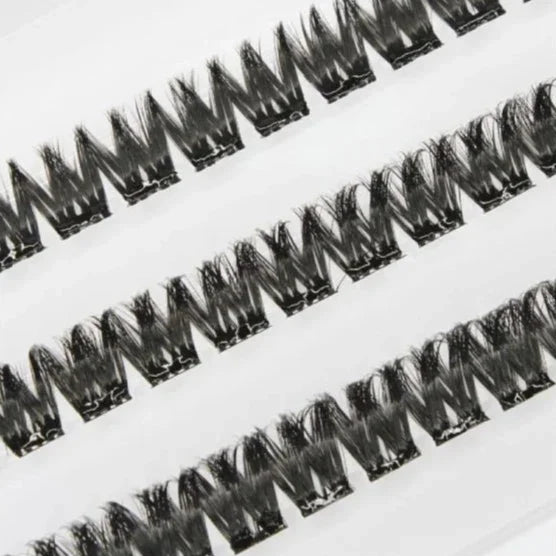 Lash FX Press & Go Palma lash style