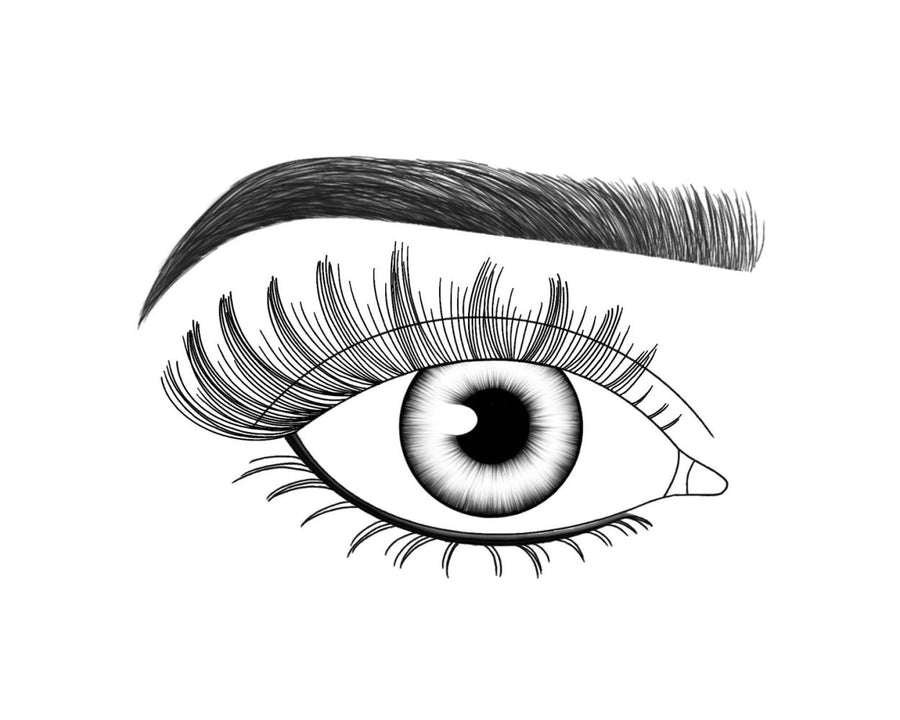 Lash FX Press & Go Palma lashes applied