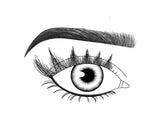 Lash FX Press & Go Paris lashes applied
