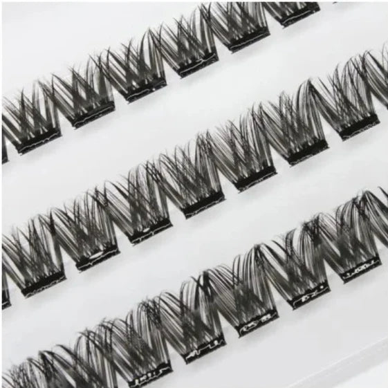 Lash FX Press & Go Rome lash style