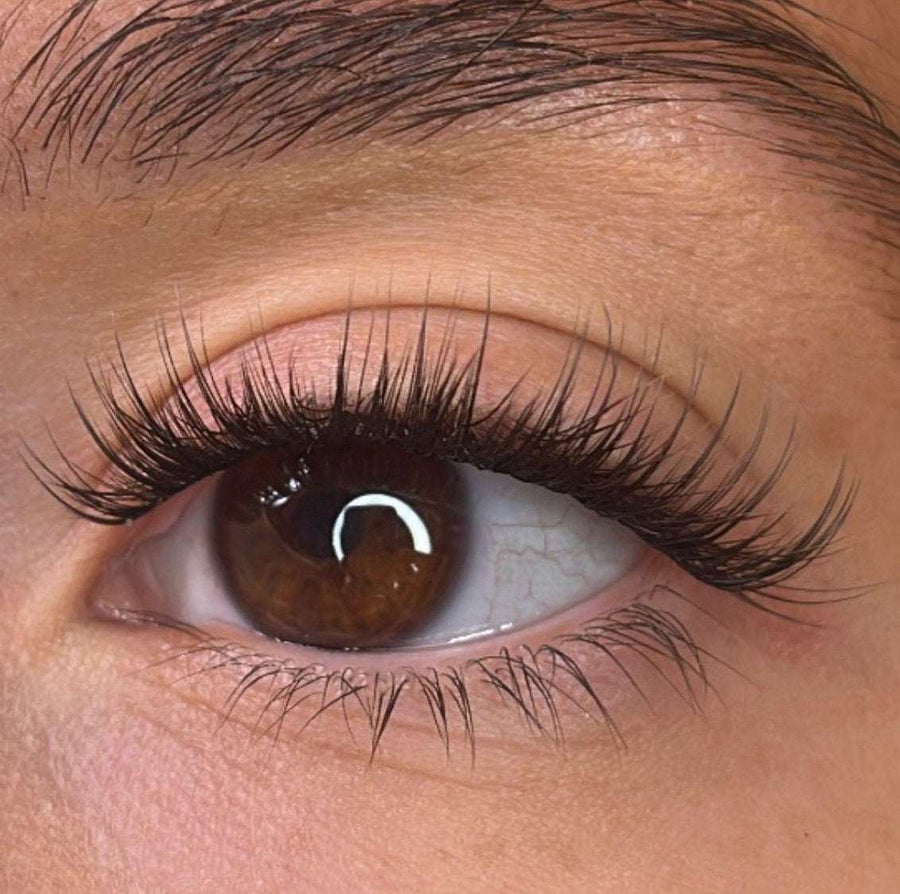 Lash Ribbons® Trista Pre-Styled Lash Ribbons® – product view 3