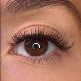 Lash Ribbons® Trista Pre-Styled Lash Ribbons® – product view 2