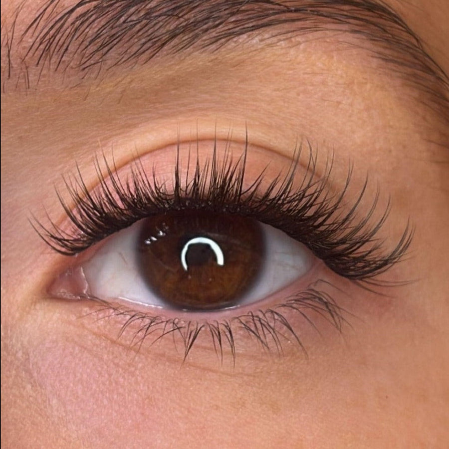 Lash Ribbons® Trista Pre-Styled Lash Ribbons® – product view 2