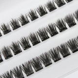 Lash FX Press & Go Vienna lash style