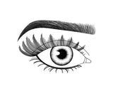 Lash FX Press & Go Vienna lashes applied