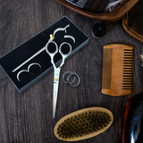 Viva Instruments 5.5” Hair Cutting Scissors – Silver