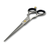 Viva Instruments 5.5” Hair Cutting Scissors – Silver