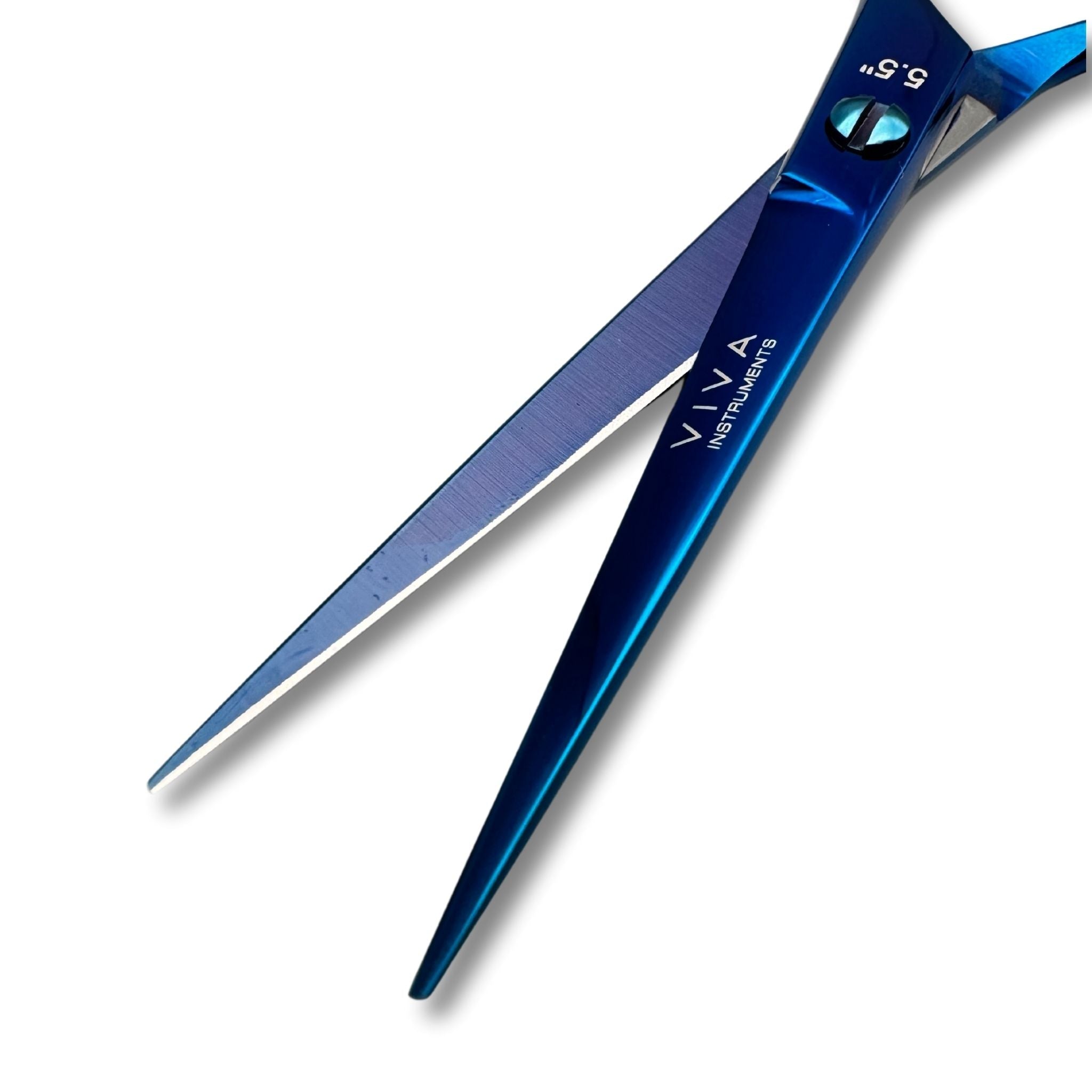 Hair Scissors 5.5 Inch - Blue