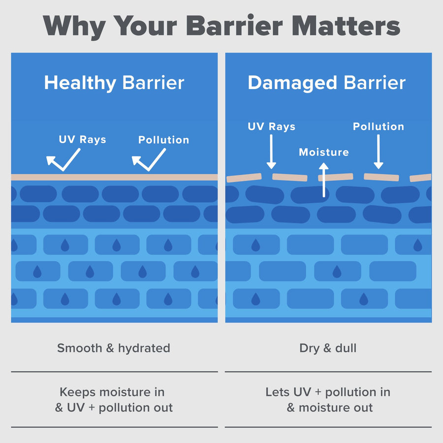 Paula's Choice RESIST Barrier Repair Moisturizer with Ceramides