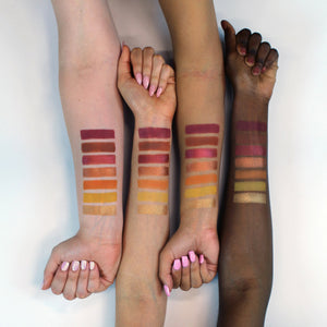 Profusion Siennas eyeshadow palette shade look