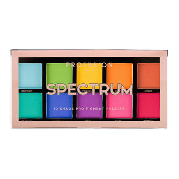 Profusion Spectrum 10 Shade Eyeshadow Palette closed