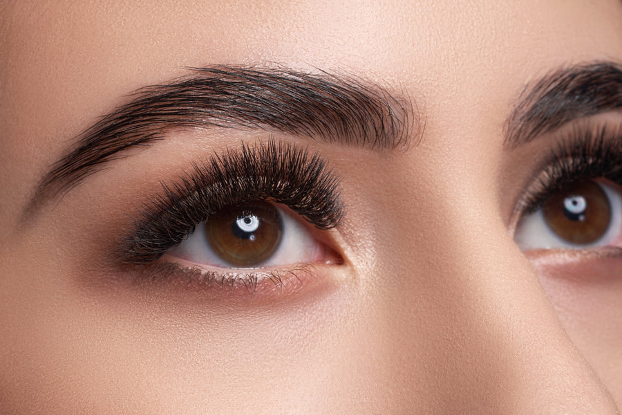 Profusion Ultimate Brow Sculpt Dark Brown model brow look